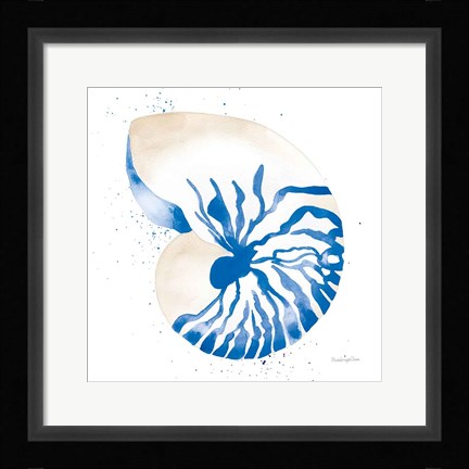 Framed Nautilus Sq Print