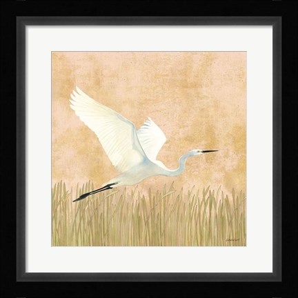 Framed Egret Alighting II Print