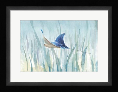 Framed Undersea Ray Print