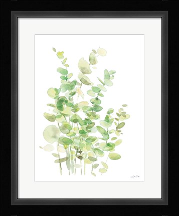 Framed Eucalyptus III Print
