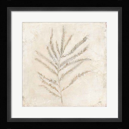 Framed Plantlife I Print