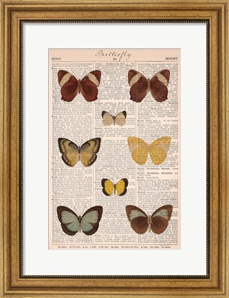 Framed American Butterflies II Print