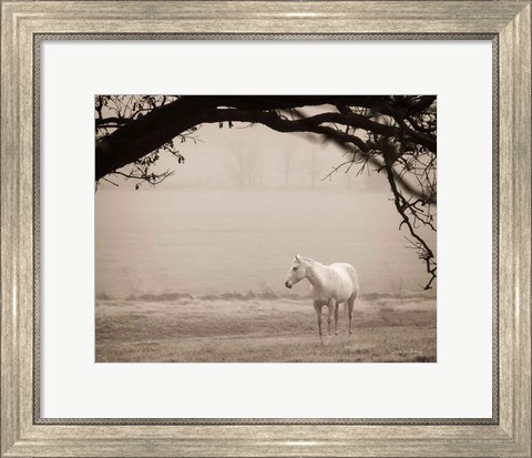 Framed Hazy Horse II Print