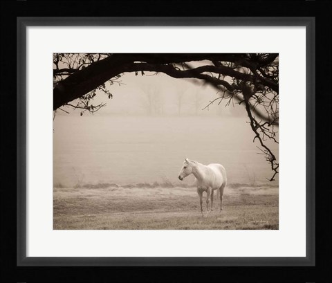 Framed Hazy Horse II Print
