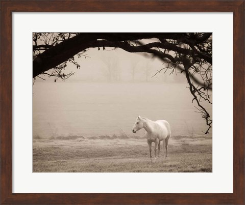 Framed Hazy Horse II Print