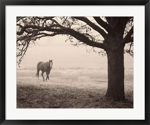 Framed Hazy Horse I Print