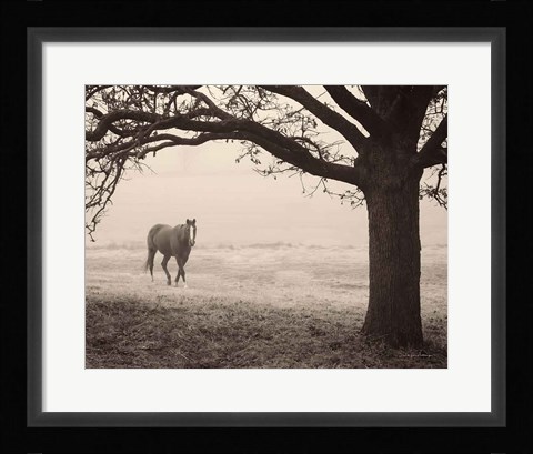 Framed Hazy Horse I Print