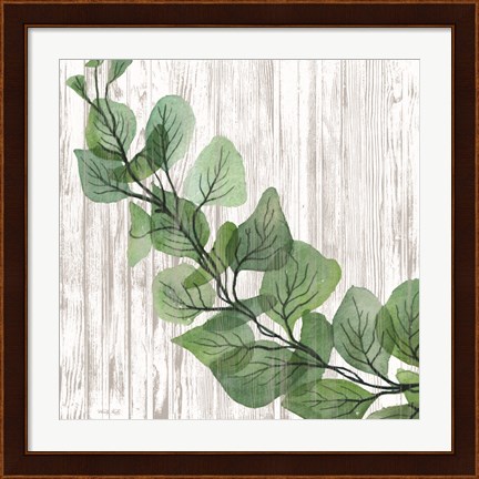 Framed Eucalyptus on White Print
