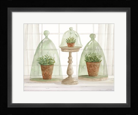 Framed Garden Cloche Trio I Print