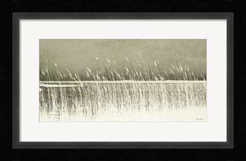 Framed Beach Grass Print