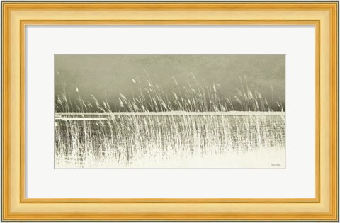 Framed Beach Grass Print