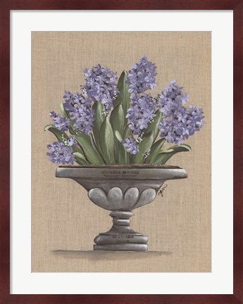 Framed Hyacinth Urn Print