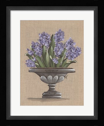 Framed Hyacinth Urn Print