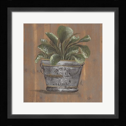 Framed Pretty Plant in Pail Print