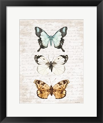 Framed Butterfly Trio Print