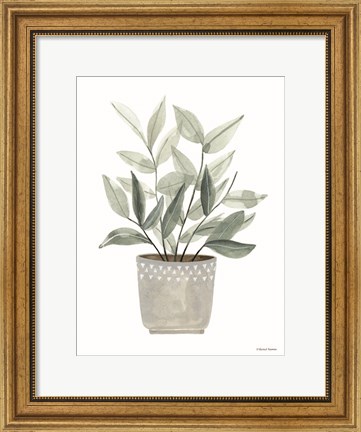 Framed Sage Planter Print