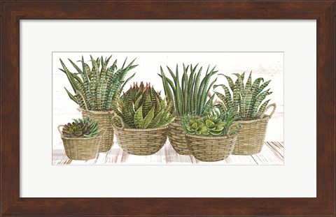 Framed Succulent Baskets Print