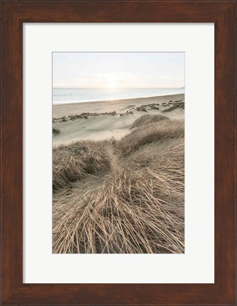 Framed Beach Grasses Print