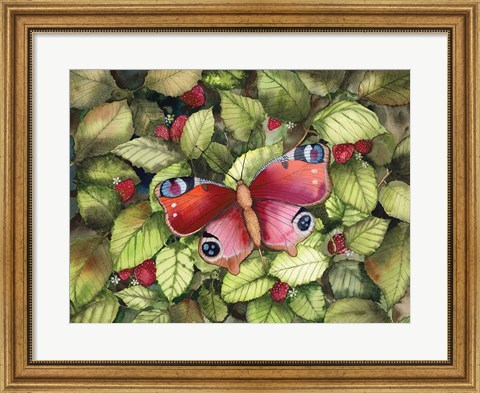 Framed Majestic Butterfly Print