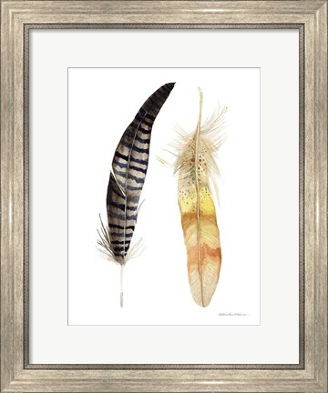 Framed Natural Feathers III Print