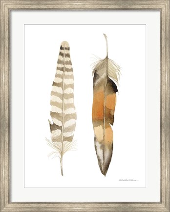 Framed Natural Feathers II Print