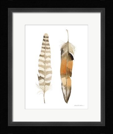 Framed Natural Feathers II Print