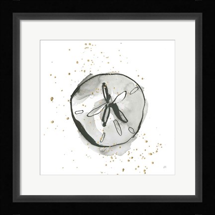 Framed Sand Dollar II Print