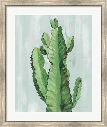 Framed Front Yard Cactus II Slate Print