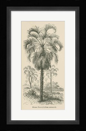 Framed Creators Wonders Book Palm Print