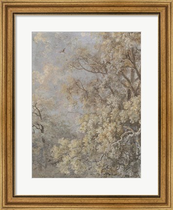 Framed Forest Fresco II Print