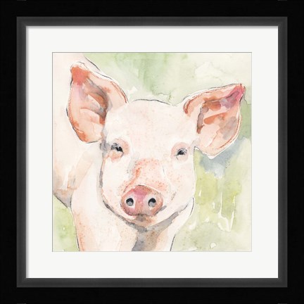 Framed Sunny the Pig I Print