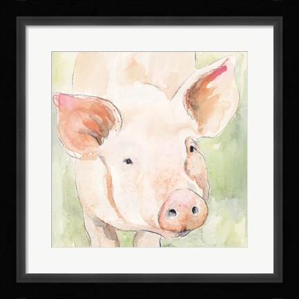 Framed Sunny the Pig II Print
