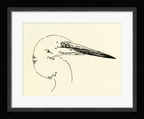 Framed Heron Head I Print