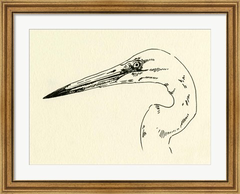 Framed Heron Head II Print