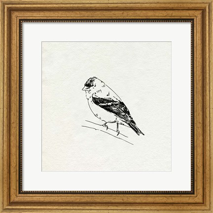 Framed Bird Feeder Friends I Print