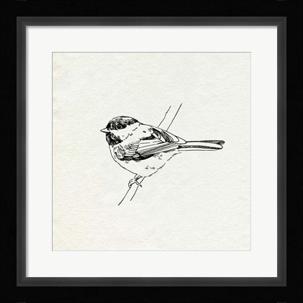 Framed Bird Feeder Friends II Print