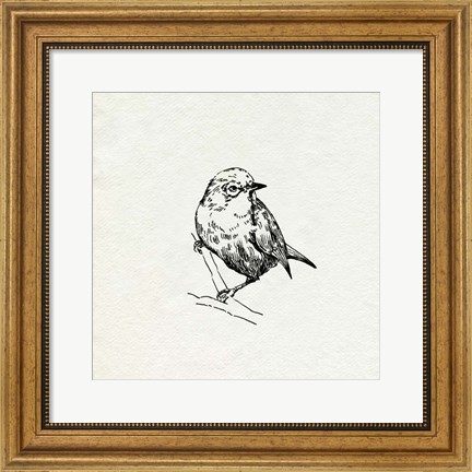 Framed Bird Feeder Friends III Print