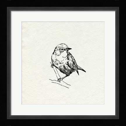 Framed Bird Feeder Friends III Print