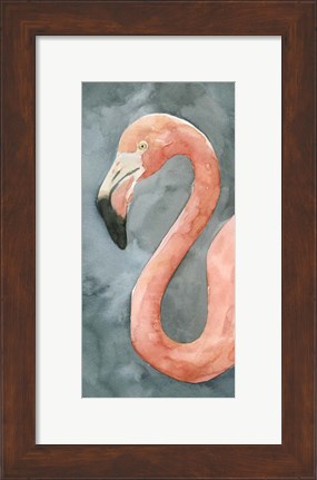 Framed Flamingo Study II Print