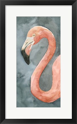 Framed Flamingo Study II Print