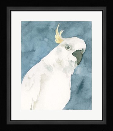 Framed Cockatoo Portrait I Print