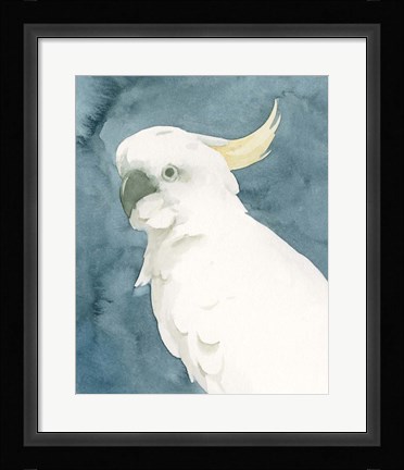 Framed Cockatoo Portrait II Print