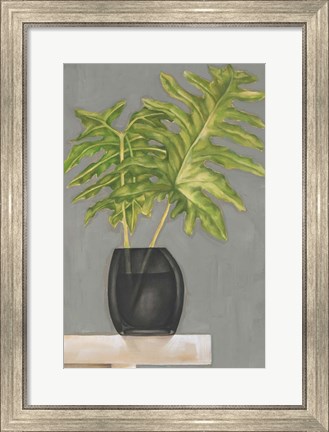 Framed Frond in Vase II Print