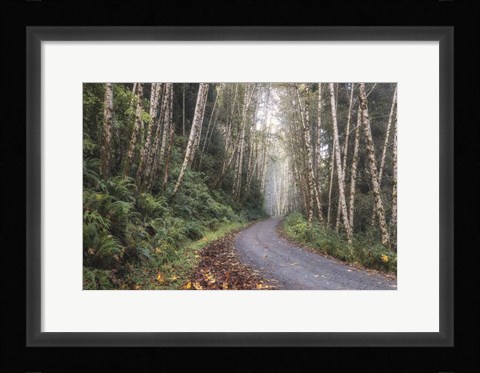 Framed Mountain Drive Print