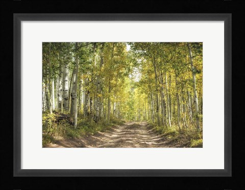 Framed Aspen Drive Print