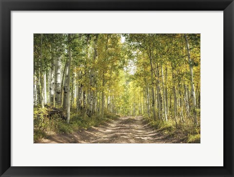 Framed Aspen Drive Print
