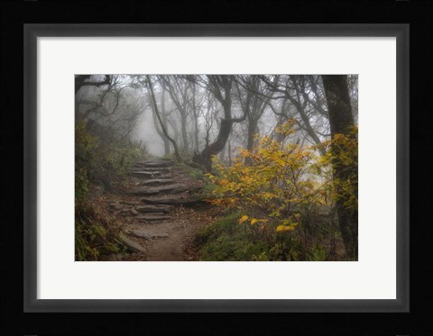 Framed Stone Steps Print