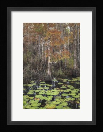Framed Black Water I Print