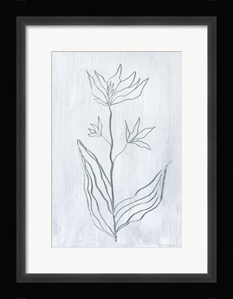 Framed Milkweeds III Print