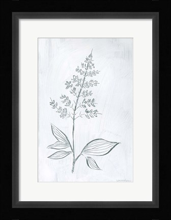 Framed Milkweeds IV Print